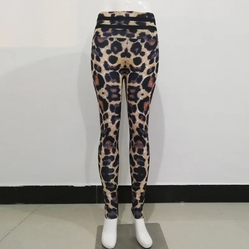 Wild & Fit 🐆 – Leopard Leggings mit High-Waist-Power