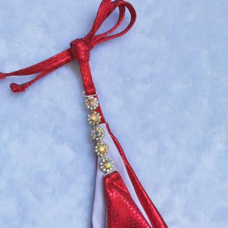 Strass Bikini-Set – glamourös, sexy & perfekt für den Sommer