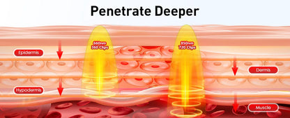 Tiefenentspannung für deinen Körper – mit dem aktualisierten Rotlicht-Therapie Heizkissen 🔥